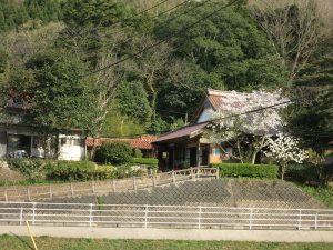 来雲山　東林寺